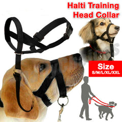 New Nylon Dog Muzzle Dogalter Dog Halter Halti Training Head Collar Adjustable Gentle Leader Harness Anti Barking Pet Supplies