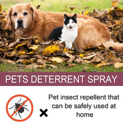 Pet Skin Spray Fleas And Tick Spray For Dogs And Cats Home Fleas Killers Soothing Grooming Spray Pet Puppy Kitten Healthy Care