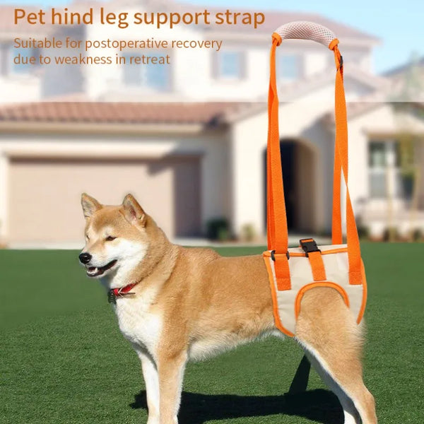 Adjustable Dog Sling Back Legs Hip Support Pet Accessories for Canine Aid and Ligament Rehabilitation Dog Lift Harness