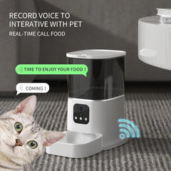 3L 6L Video Camera Feeder Timing Smart Automatic Pet Feeder For Cats Dog WiFi Intelligent Dry Food Dispenser  Voice Recorde Bowl