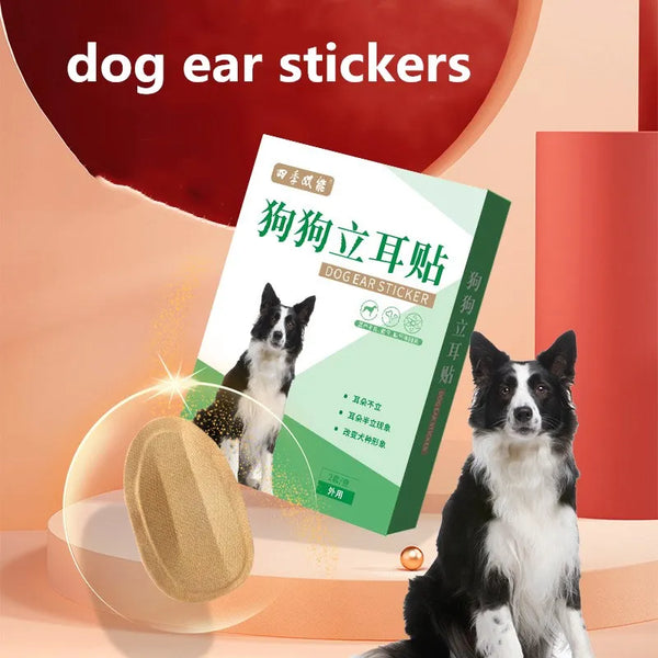 2pcs/pack Dog Ear Stand Up Stickers Pet Standing Ear Correction Dog Supplies Ear Erector Ear Care Tools Convenient Effective