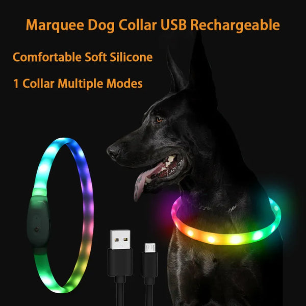 RGB Discolor Glowing Collar For Dogs Large Medium Usb Rechargeable Dog Collar Luminous Led Light Night Safety Pet Accessories