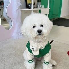 Fashion Sports Sweaters Pet Warm Knitwear Than Bear Letter Pattern Button Up Shirt Popular Two legged Clothes Cute Dog Clothes