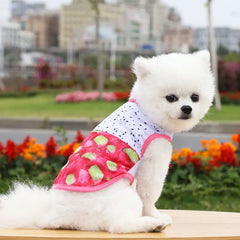 Breathable Pet Dog Clothes Summer Dog Vest For Small Dog Cute Camouflage Vest Spring and Summer Tshirt Bulldog Apparel Chihuahua