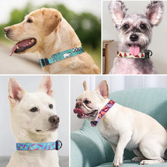 Dog collar pet outdoor collars cat and dog print traction kitten puppy necklace teddy bear durable collar pets accessories