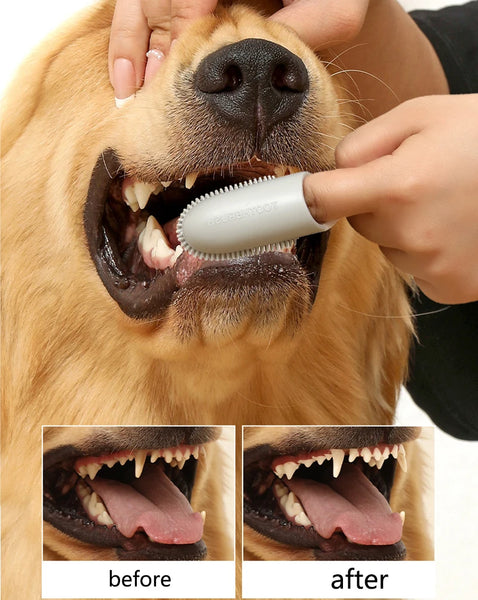 Hygiene For Dogs Non-toxic Toothbrush For Pets Bad Breath Remedy For Dogs Dog Toothbrush Kit Silicone Finger Toothbrush For Dogs