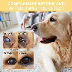 448B Pet Eye Care-Solution Eye Drop for Tear-Stains Remove Puppy Eye-Clear Drop Gentle Eye Wash Drop 20ml Cat Eye-Drops